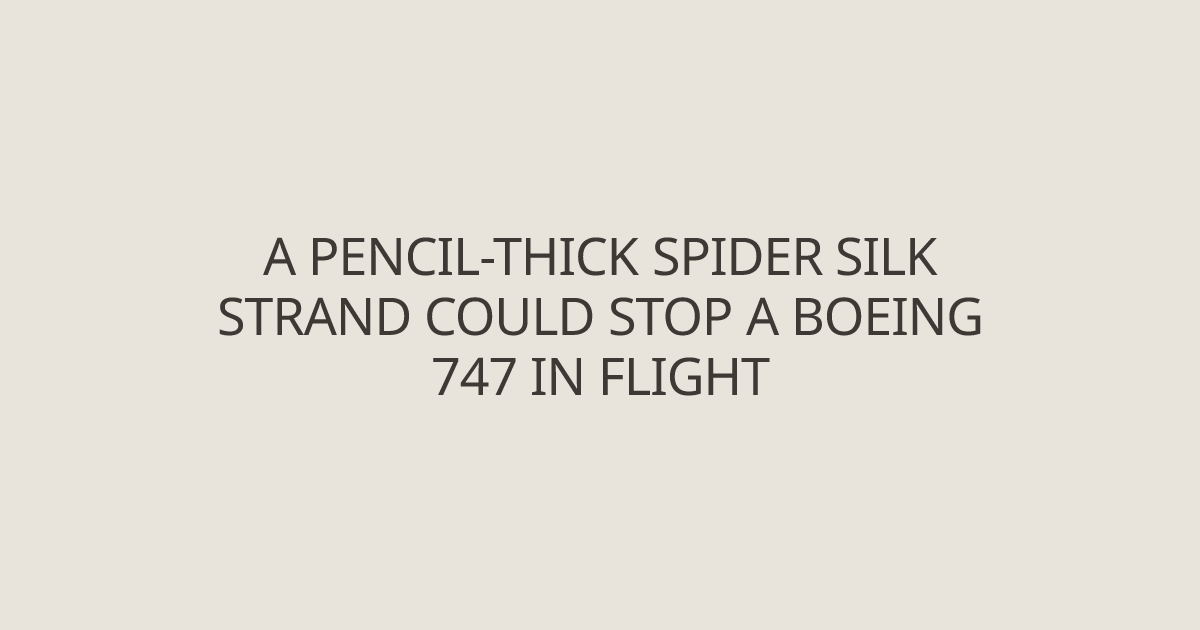 A pencil-thick spider silk strand could stop a Boeing 747 in flight ...