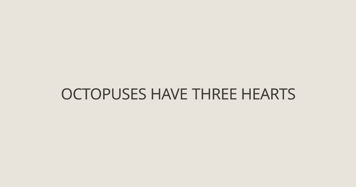 Octopuses Have Three Hearts - Nature Facts | Truepedia