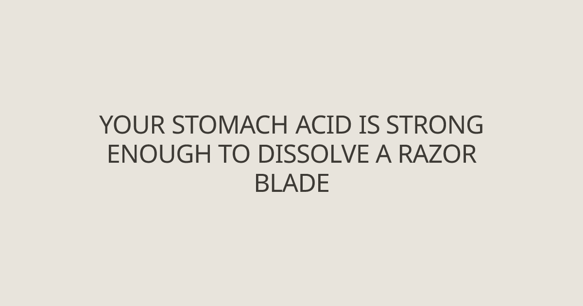 Your stomach acid is strong enough to dissolve a razor blade - Medicine ...